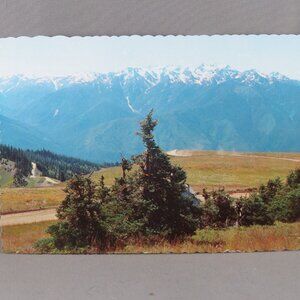 Vintage Postcard - The Bailey Range Washington State - Ellis Post Cards